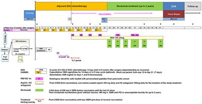 A Phase Ib Study of the Combination of Personalized Autologous Dendritic Cell Vaccine, Aspirin, and Standard of Care Adjuvant Chemotherapy Followed by Nivolumab for Resected Pancreatic Adenocarcinoma—A Proof of Antigen Discovery Feasibility in Three Patients